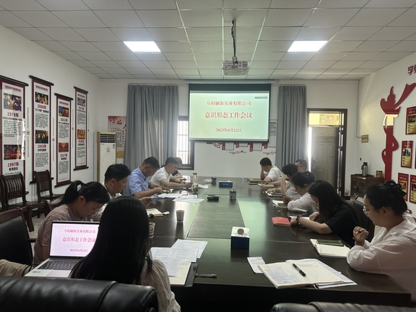 潁淮實(shí)業(yè)意識形態(tài)工作會(huì )議.jpg